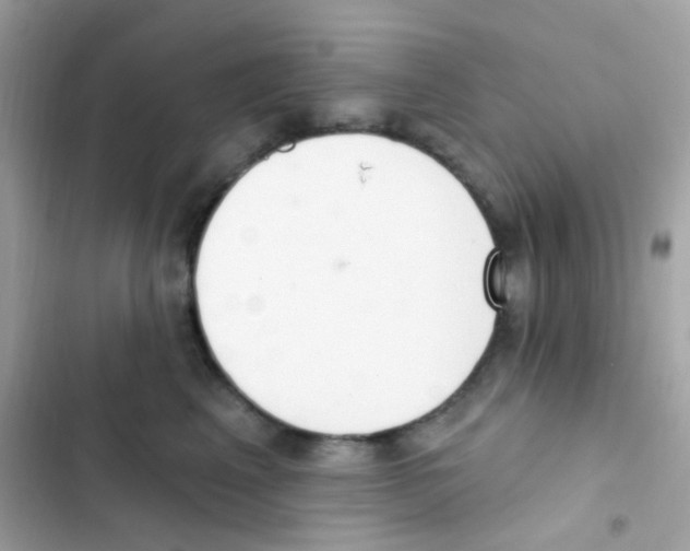 X0000103170617200809192118