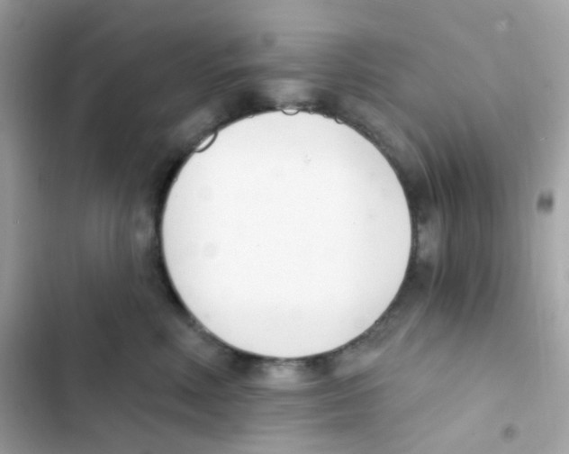 X0000103170618200809192118