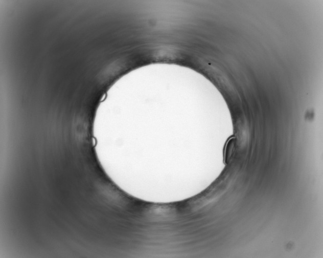 X0000103170619200809192118