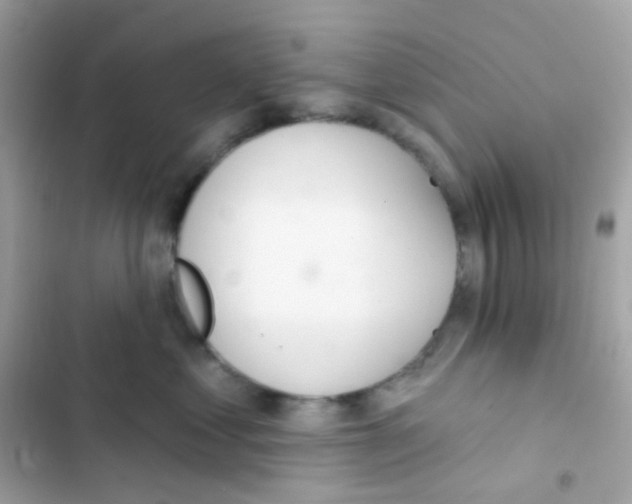 X0000103170621200809192118