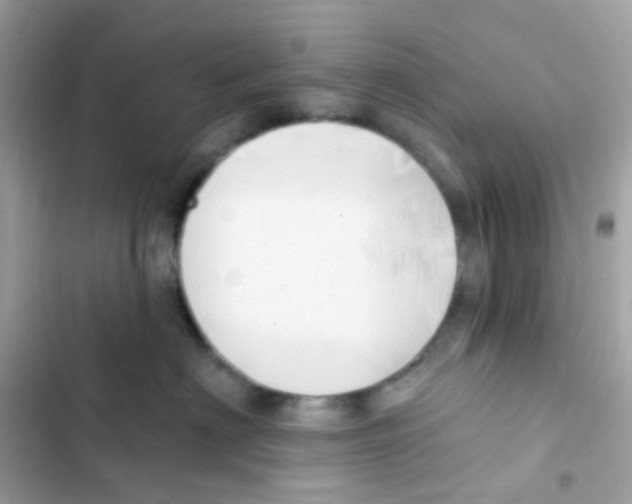 X0000103170622200809192118