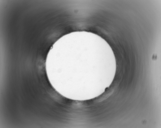 X0000103170624200809192118