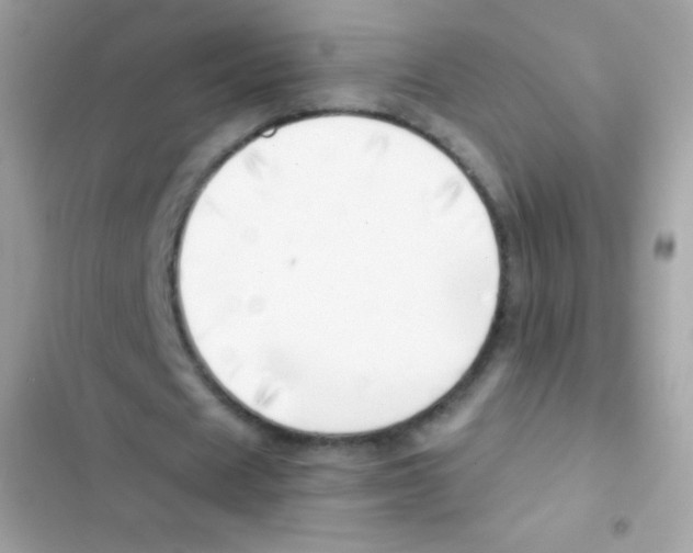 X0000103170625200809192117