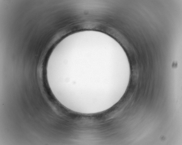 X0000103170626200809192117