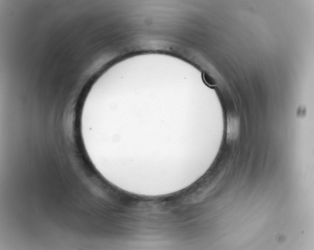 X0000103170627200809192117