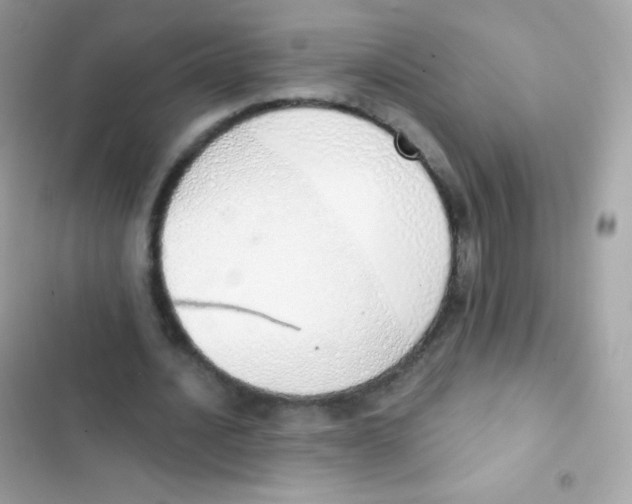 X0000103170628200809192117