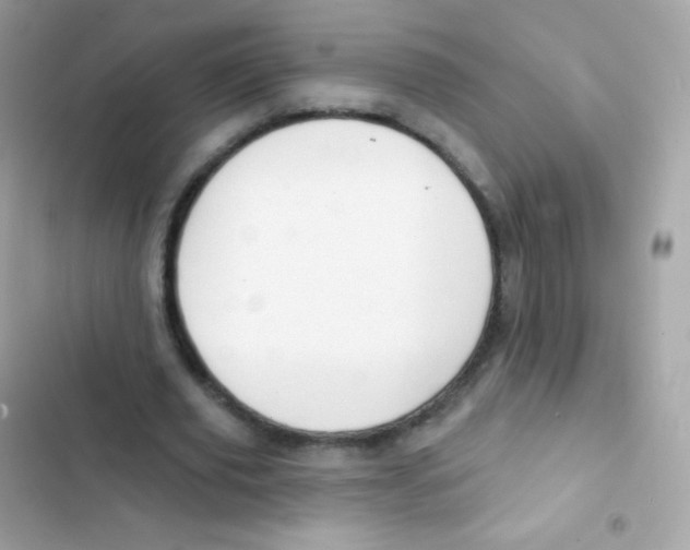 X0000103170629200809192117