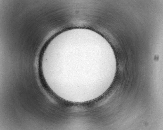 X0000103170630200809192117