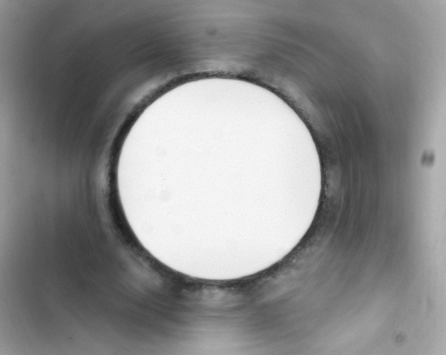 X0000103170632200809192117