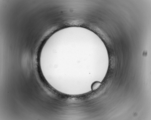 X0000103170634200809192117