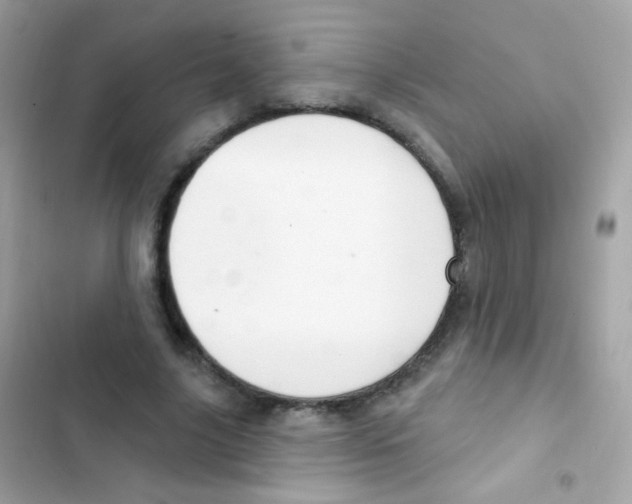 X0000103170635200809192117