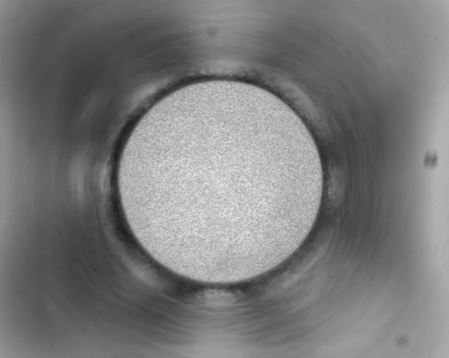 X0000103170636200809192117