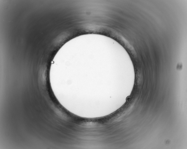 X0000103170637200809192117