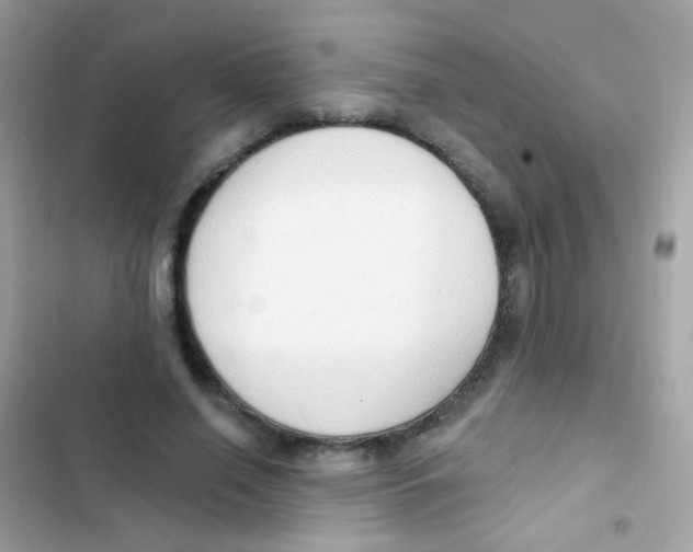 X0000103170638200809192117