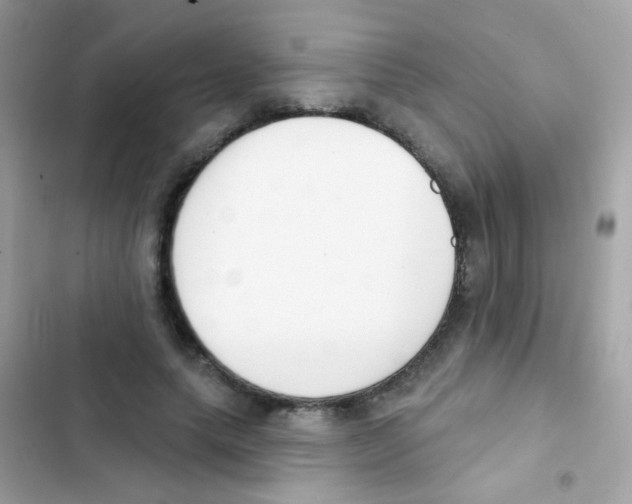 X0000103170639200809192117