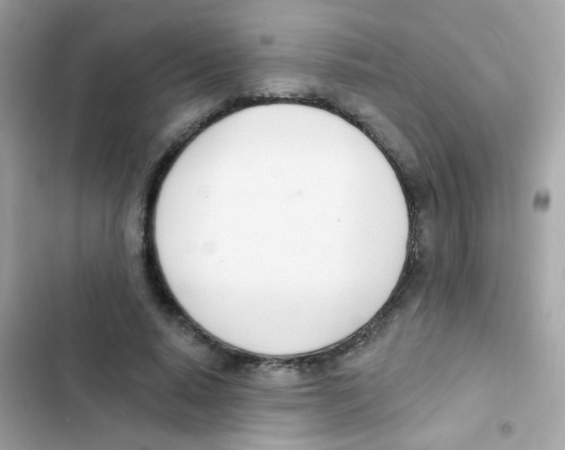 X0000103170640200809192117