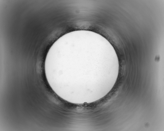 X0000103170641200809192117