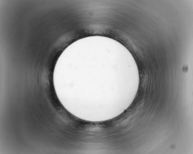 X0000103170643200809192118