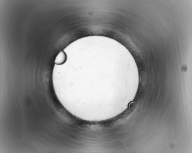 X0000103170645200809192118