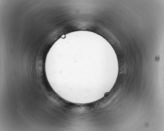 X0000103170646200809192118