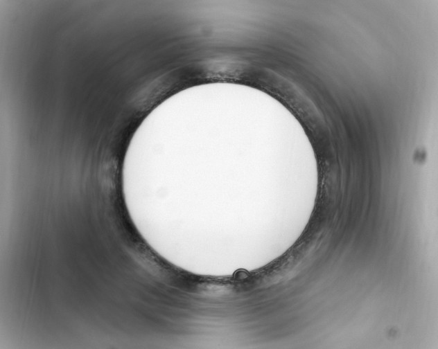 X0000103170649200809192118