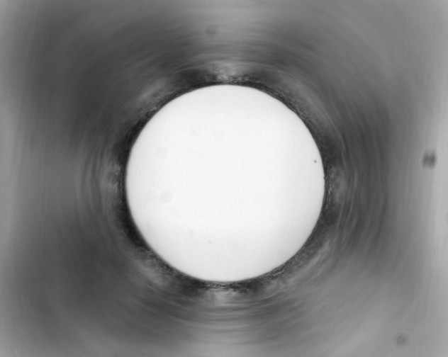 X0000103170650200809192118