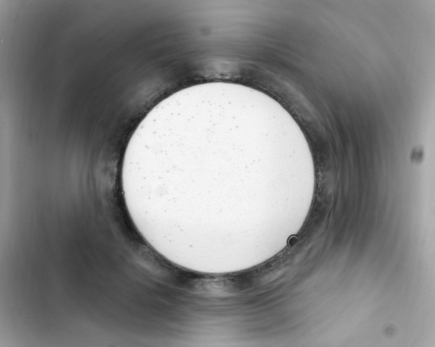 X0000103170652200809192118