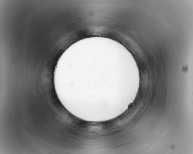 X0000103170653200809192118