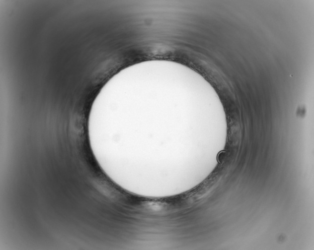 X0000103170654200809192118