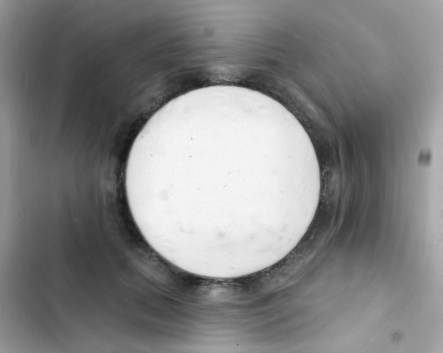 X0000103170655200809192118