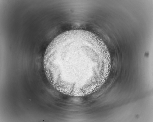 X0000103170659200809192118