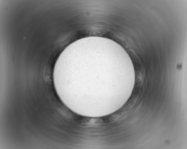 X0000103170663200809192118