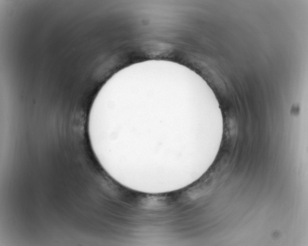 X0000103170664200809192118