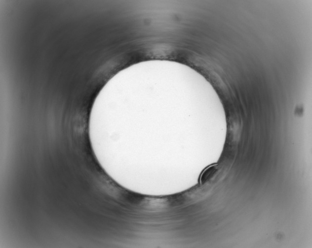 X0000103170665200809192118