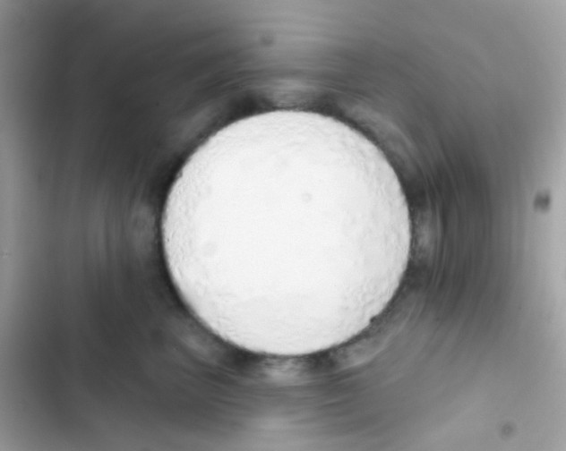 X0000103170667200809192118