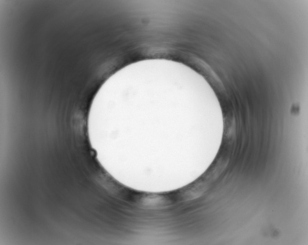 X0000103170669200809192118