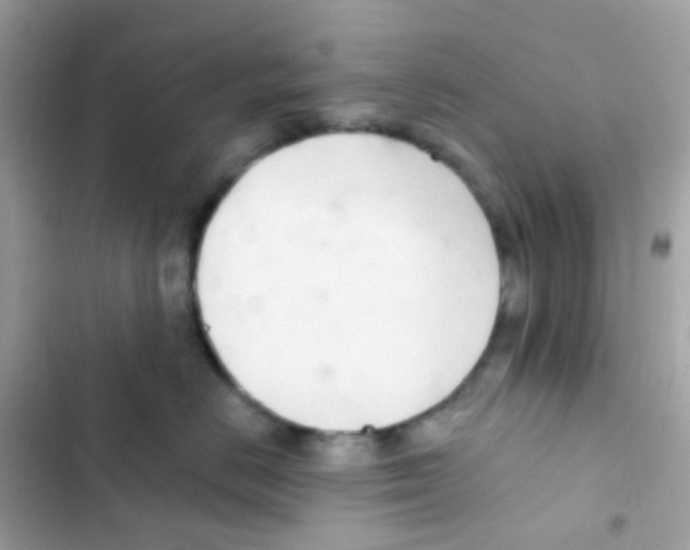 X0000103170670200809192118