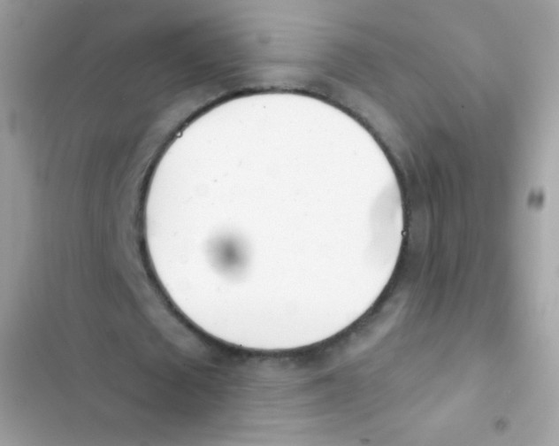 X0000103170673200809192117