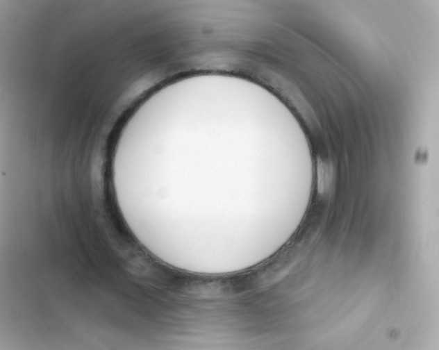 X0000103170675200809192117