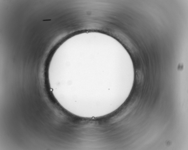 X0000103170676200809192117