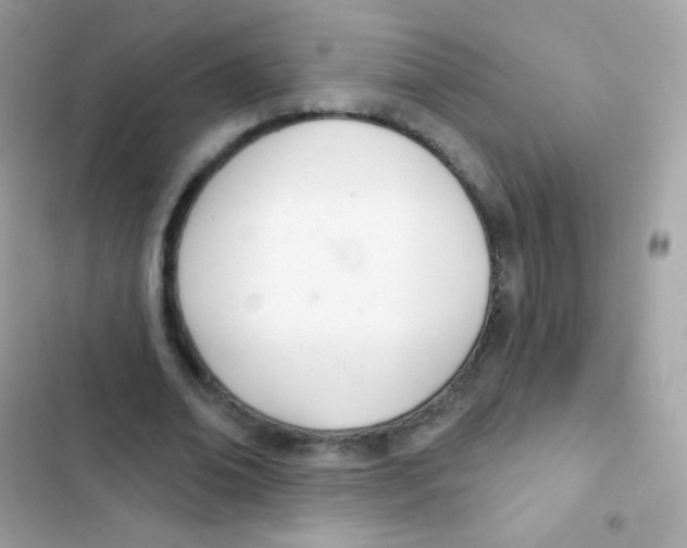 X0000103170678200809192117