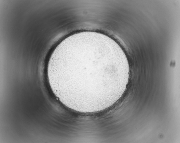 X0000103170679200809192117