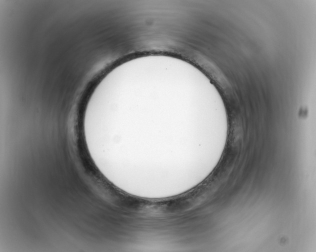 X0000103170680200809192117