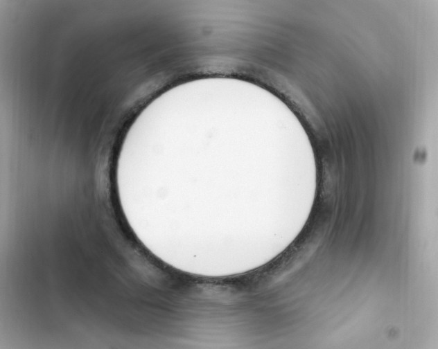 X0000103170681200809192117