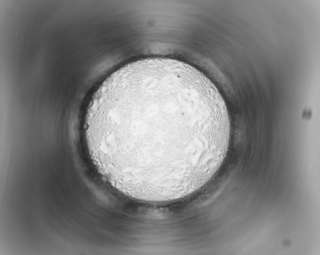 X0000103170683200809192117