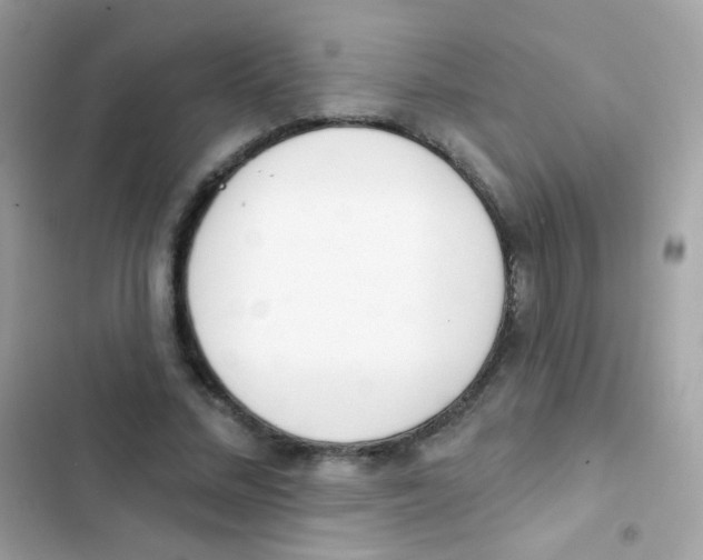 X0000103170684200809192117