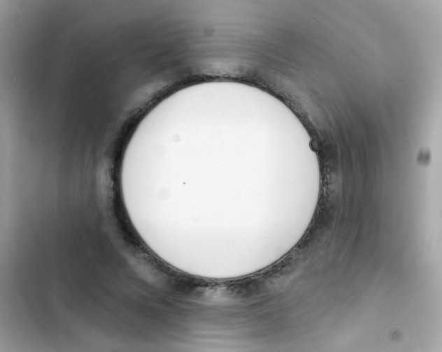 X0000103170688200809192117