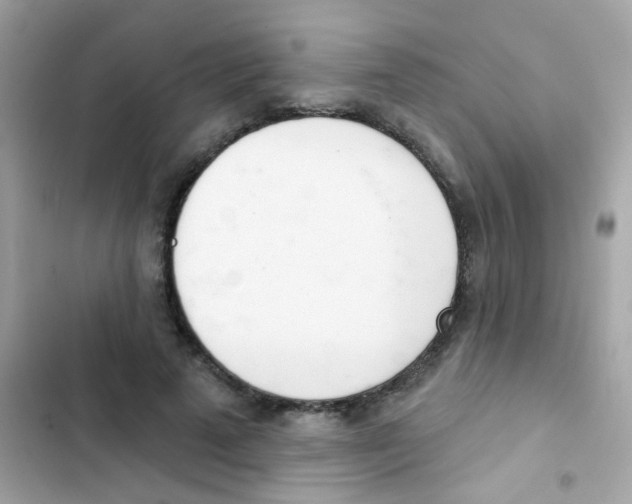 X0000103170689200809192117