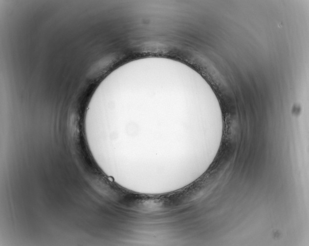 X0000103170692200809192117