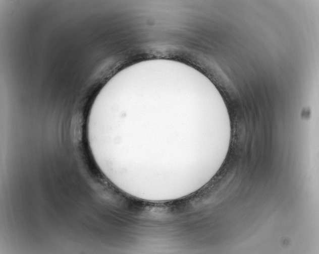 X0000103170694200809192117